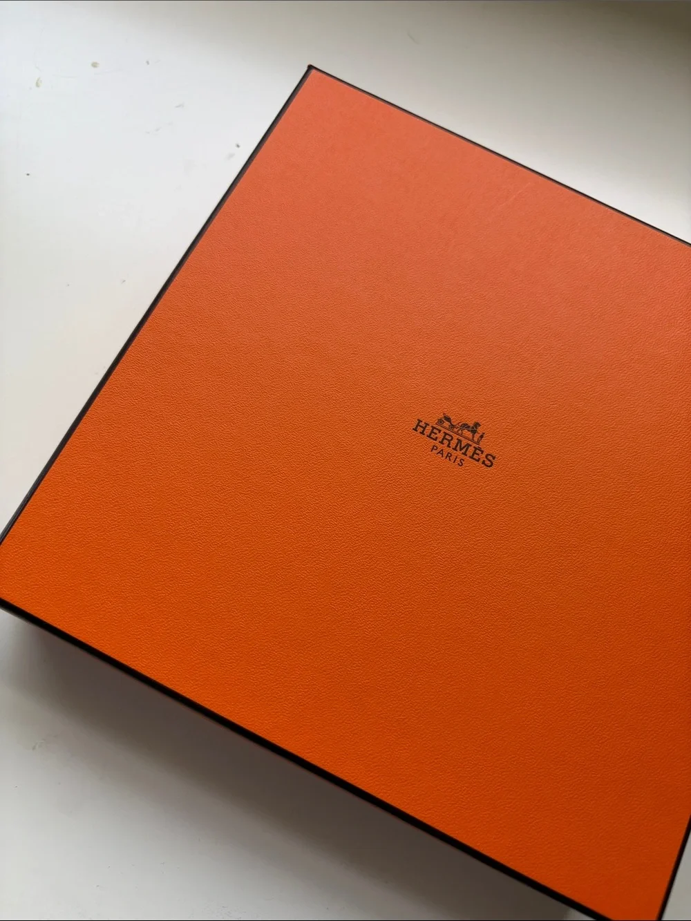 Hermes elegant hermès